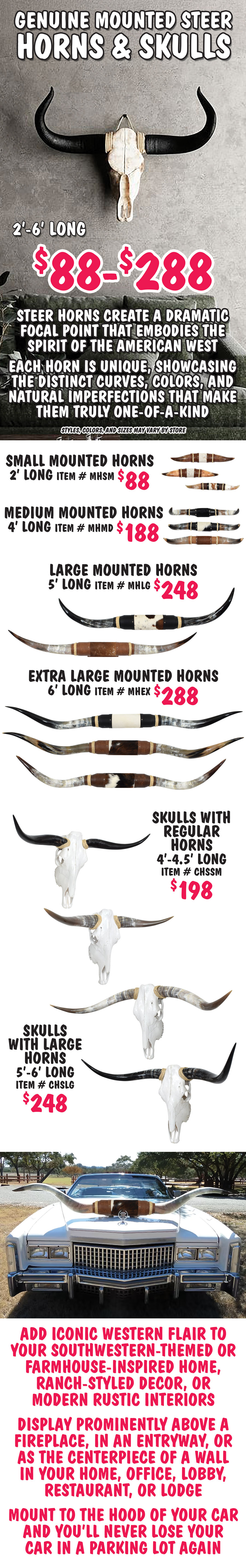 Genuine Mounted Steer Horns and Skulls, 2 feet to 6 feet long, $88 to $288. Steer horns create a dramatic focal point that embodies the spirit of the American West. Each horn is unique, showcasing the distinct curves, colors, and natural imperfections that make them truly one-of-a-kind. Small mounted horns $88, 2 feet long, item number MHSM. Medium mounted horns $188, 4 feet long, item number MHMD. Large mounted horns $248, 5 feet long, item number MHLG. Extra large mounted horns $288, 6 feet long, item number MHEX. Skulls with regular horns $198, 4 feet to 4 and a half feet long, item number CHSSM. Skulls with large horns $248, 5 feet to 6 feet long, item number CHSLG. Styles, colors, and sizes may vary by store. Add iconic Western flair to your Southwestern-themed or farmhouse-inspired home, ranch-styled decor, or modern rustic interiors. Display prominently above a fireplace, in an entryway, or as the centerpiece of a wall in your home, office, lobby, restaurant, or lodge. Mount to the hood of your car and you’ll never lose your car in a parking lot again.