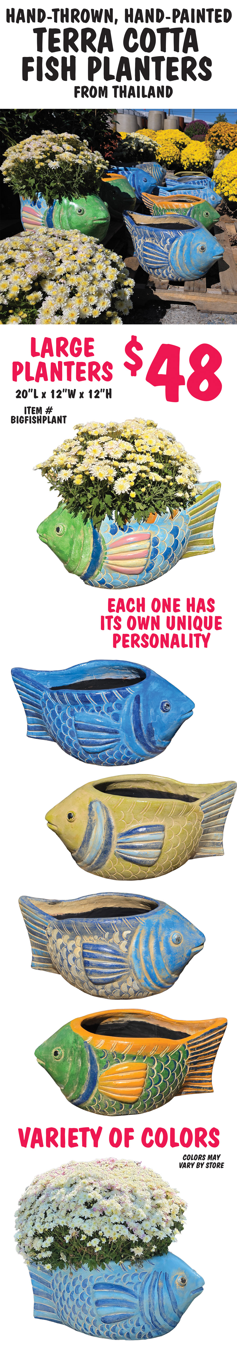 HHand thrown, hand painted terra cotta Big Fish Planters for Thailand, large planters $48, item number BIGFISHPLANT, 20 inches long, 12 inches wide, 12 inches high. Each one has its own personality. Variety of colors, colors may vary by store.