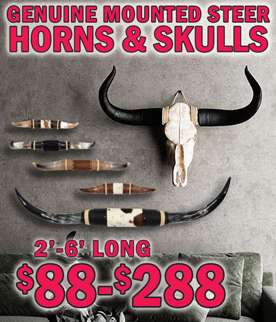 Genuine Mounted Steer Horns and Skulls, 2 feet to 6 feet long, $88 to $288