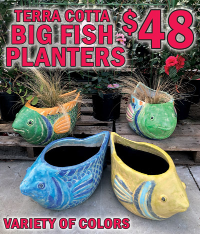 Terra Cotta Big Fish Planters $48, variety of colors
